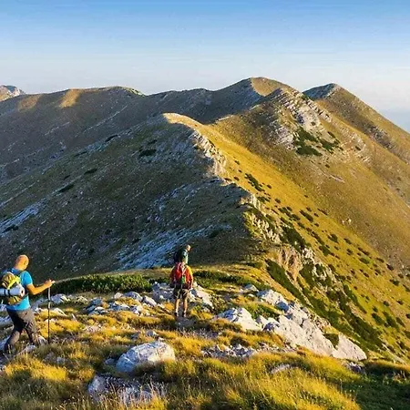 Maslenica Comfortable Отель